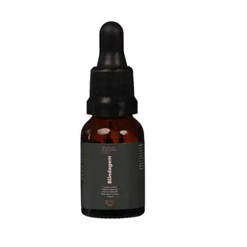 NINA MAKE UP BLINDAGEM 15ML
