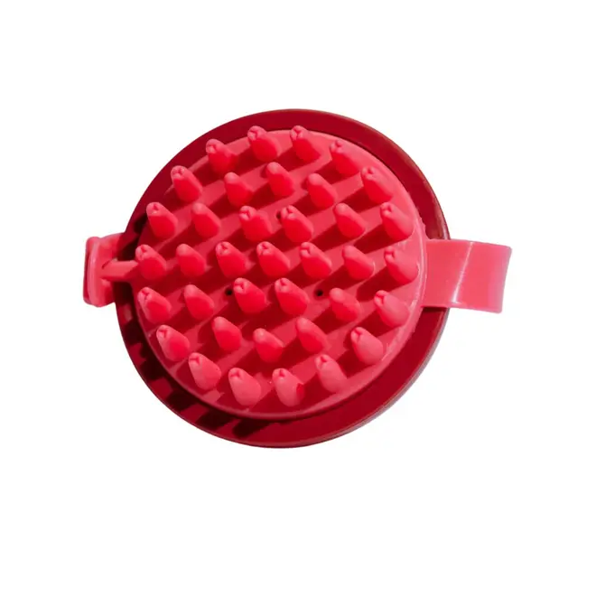 MY BRUSH ESCOVA PARA LIMPEZA E MASSAGEM DO COURO C